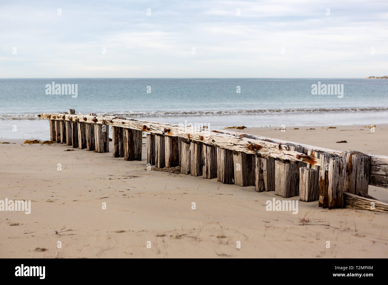 La sabbia erosione groyne situato a Victor Harbour sulla penisola di Fleurieu in Sud Australia il 3 aprile 2019 Foto Stock