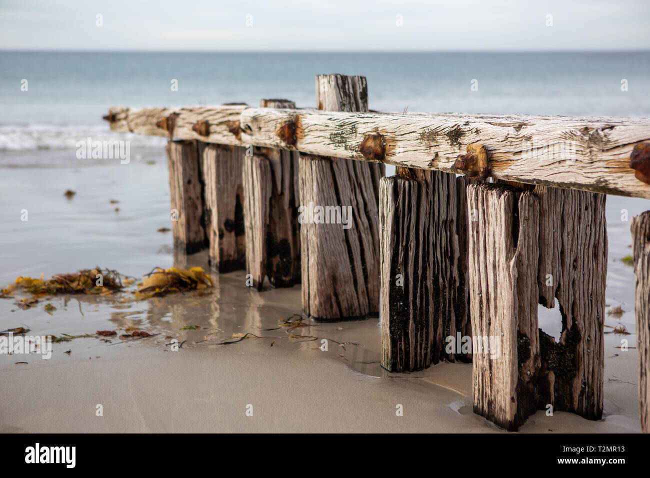 La sabbia erosione groyne situato a Victor Harbour sulla penisola di Fleurieu in Sud Australia il 3 aprile 2019 Foto Stock