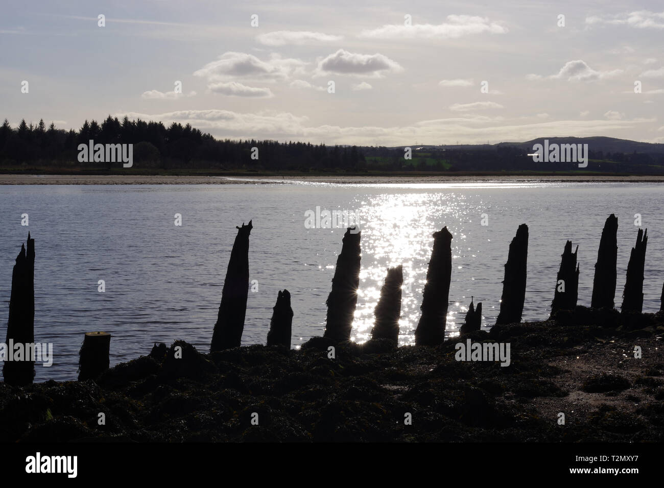 Il Bowling Harbour Beach, il sole che splende sul fiume Clyde, marciume legnami bloccata dall'acqua. Foto Stock