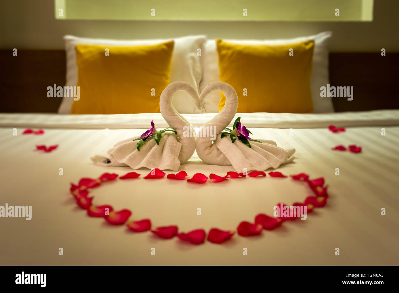 Petali di rose sul letto immagini e fotografie stock ad alta risoluzione -  Alamy