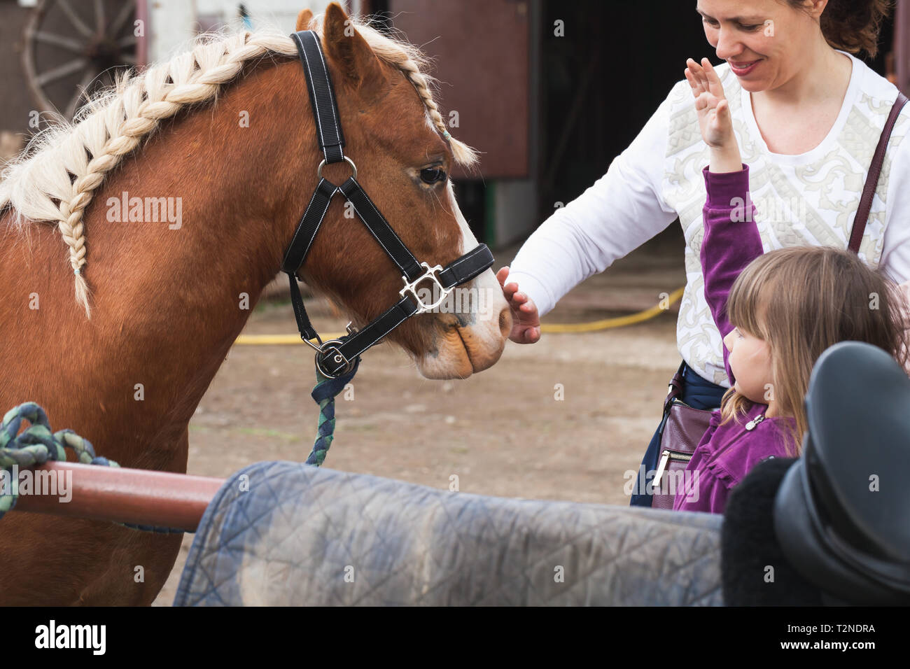 Bambina con la madre e il marrone a cavallo con la criniera intrecciata, close up Foto Stock