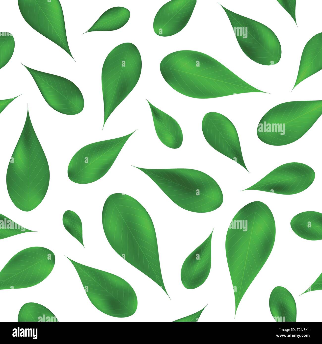 Green leafs seamless pattern, bianco su sfondo isolato. Foglie di realistico texture per web e print design, coperchio, poster. Eps vettoriali 10 illustrati Illustrazione Vettoriale