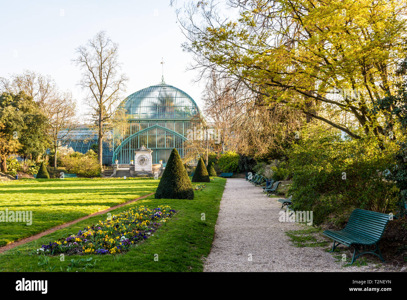 Il palmarium, la grande serra delle palme nel Jardin des serres d'Auteuil, un giardino botanico di Parigi, Francia, in un assolato pomeriggio di primavera. Foto Stock