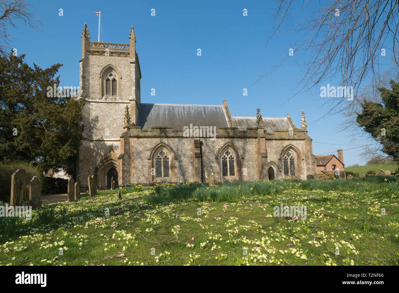St James Chiesa in Oriente Tisted, Hampshire, Regno Unito, durante la primavera con un sacco di primule crescente nel sagrato della chiesa Foto Stock