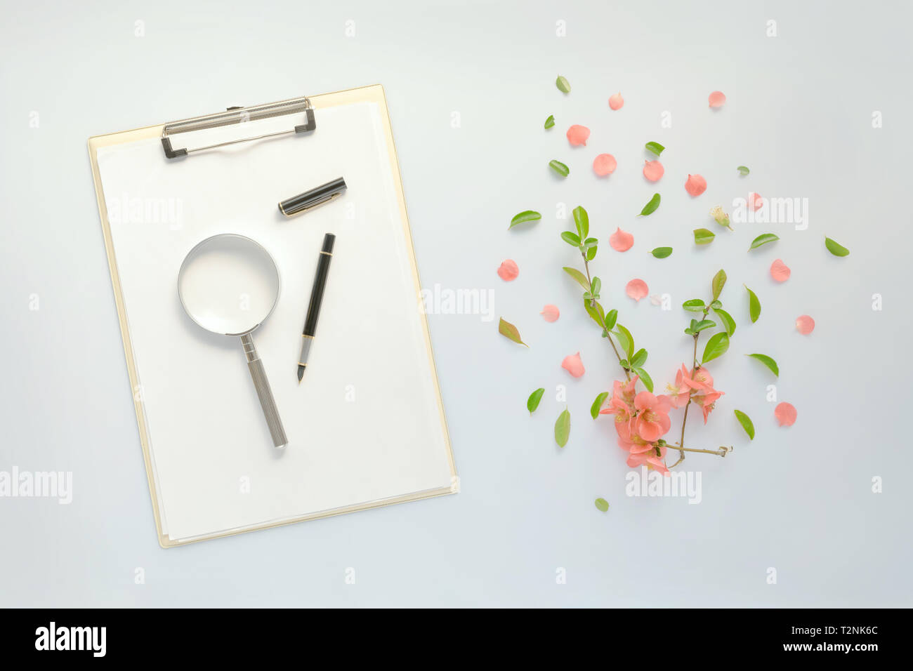 Carta bianca su appunti appunti con decorazioni floreali, piatto lay mock up copia spazio per la stagione primavera Foto Stock
