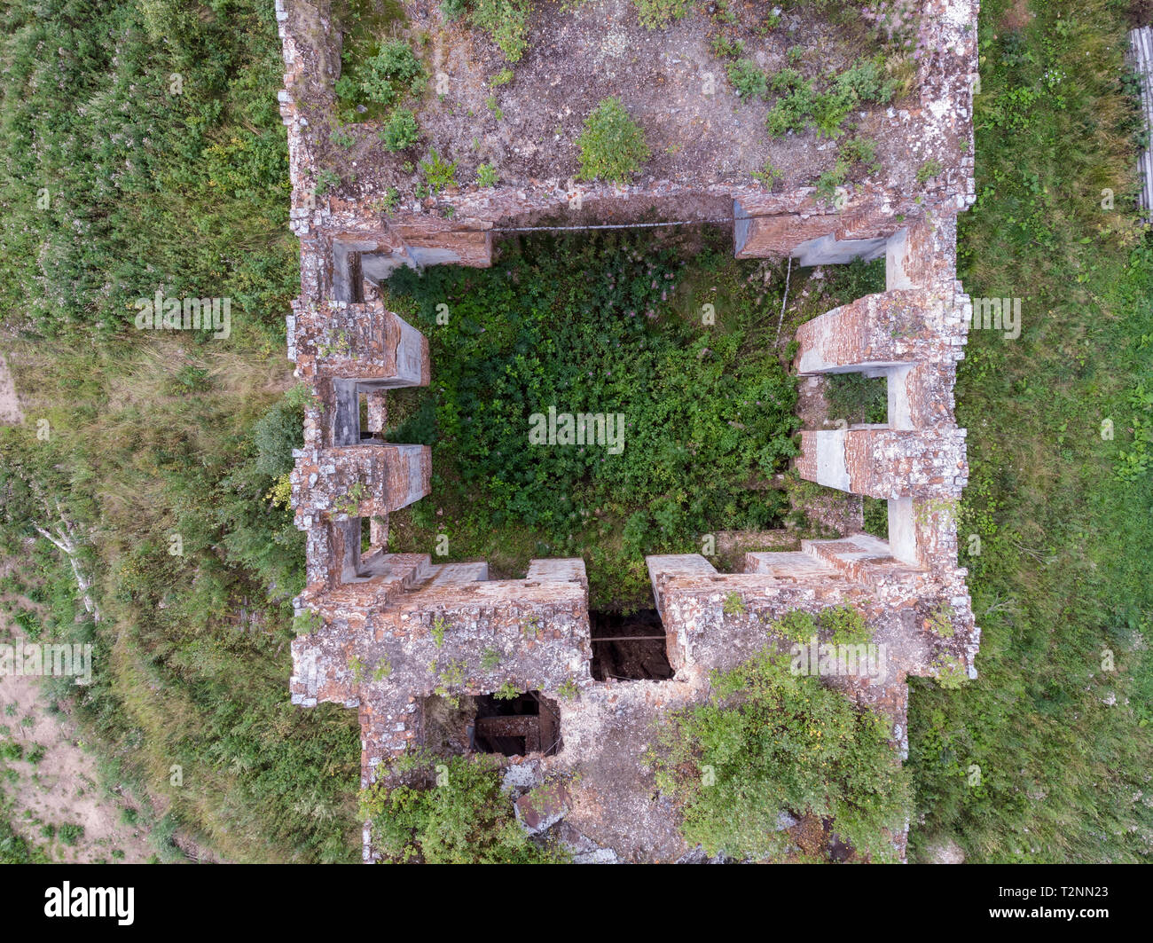 Vista di un abbandonato edificio di mattoni con un drone, una foresta cresce all'interno Foto Stock