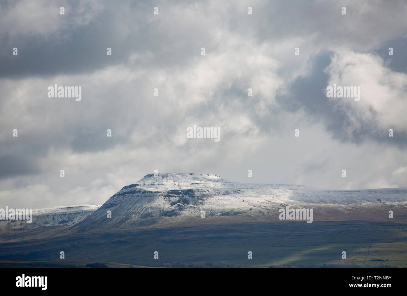 Ingleborough montagna con una copertura di neve sotto le nuvole il 2 aprile 2019. Ingleborough è popolare con hill walkers e fa parte dei tre picchi di Foto Stock