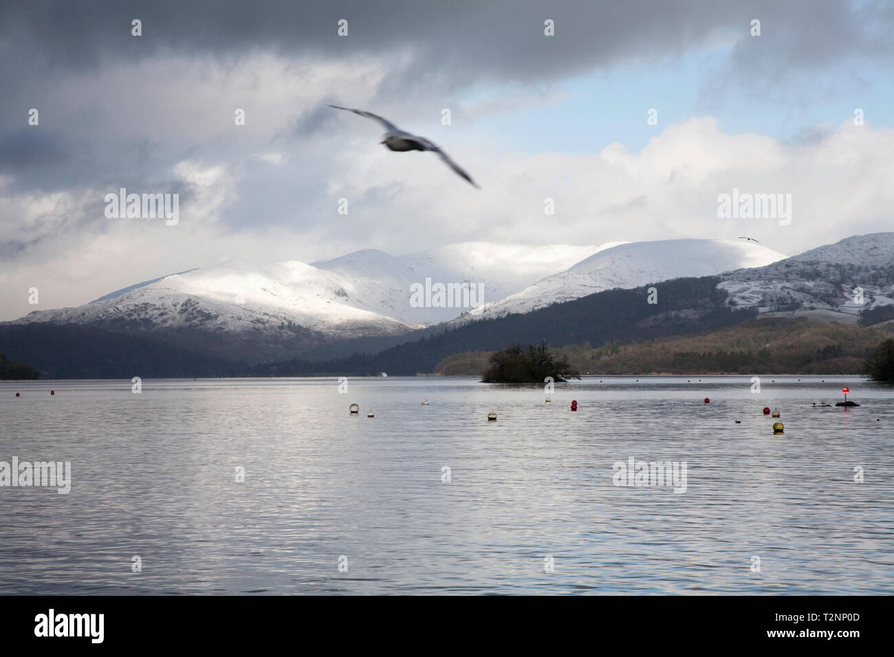 Il Fairfield Horseshoe sopra Ambleside dal lago Windermere su una Freddo giorno d'inverno il Lake District Cumbria Inghilterra Foto Stock
