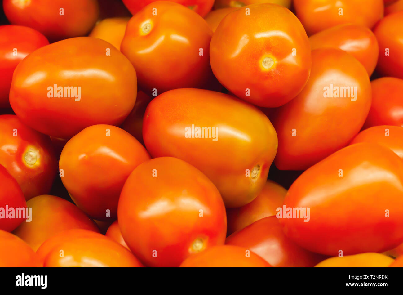 Barcelo saladette pomodori impilati per la vendita al dettaglio in un mercato Foto Stock Barcelo saladette pomodori impilati per la vendita al dettaglio in un mercato Foto Stock