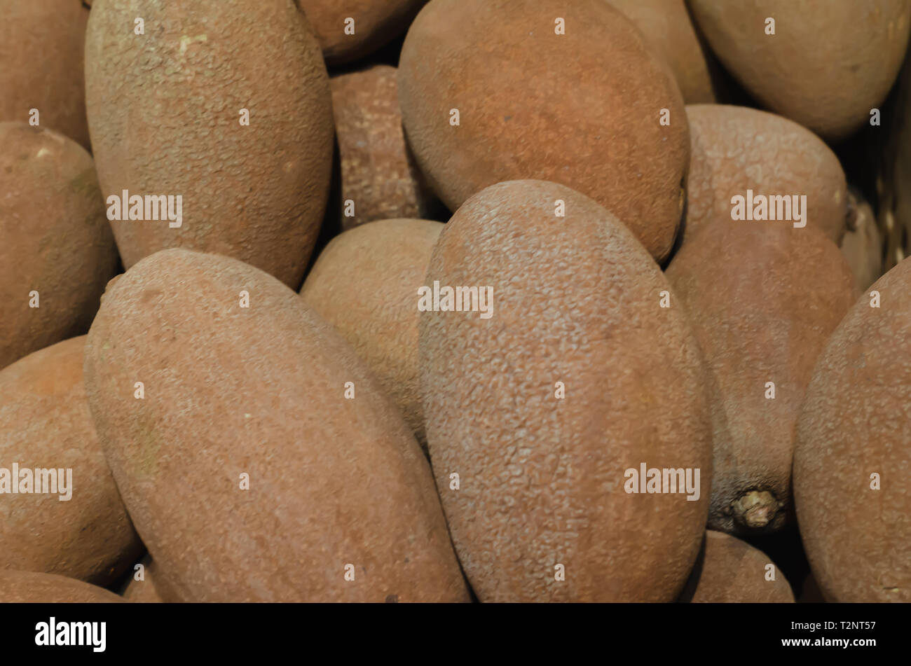 Sapote impilati per la vendita al dettaglio in un mercato Foto Stock
