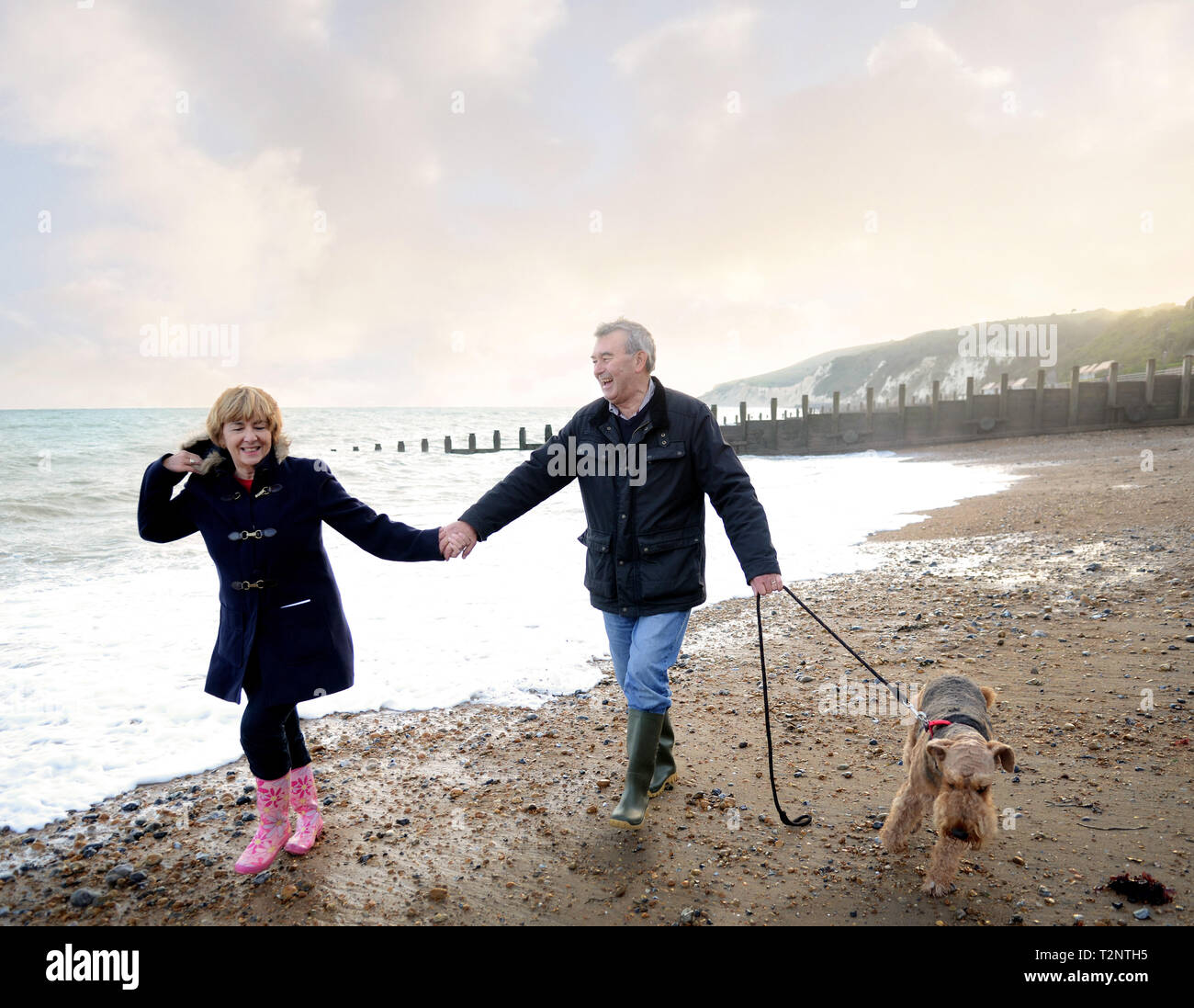 Romantico coppia senior tenendo le mani e il cane a camminare sulla spiaggia, Eastbourne, East Sussex, Inghilterra Foto Stock