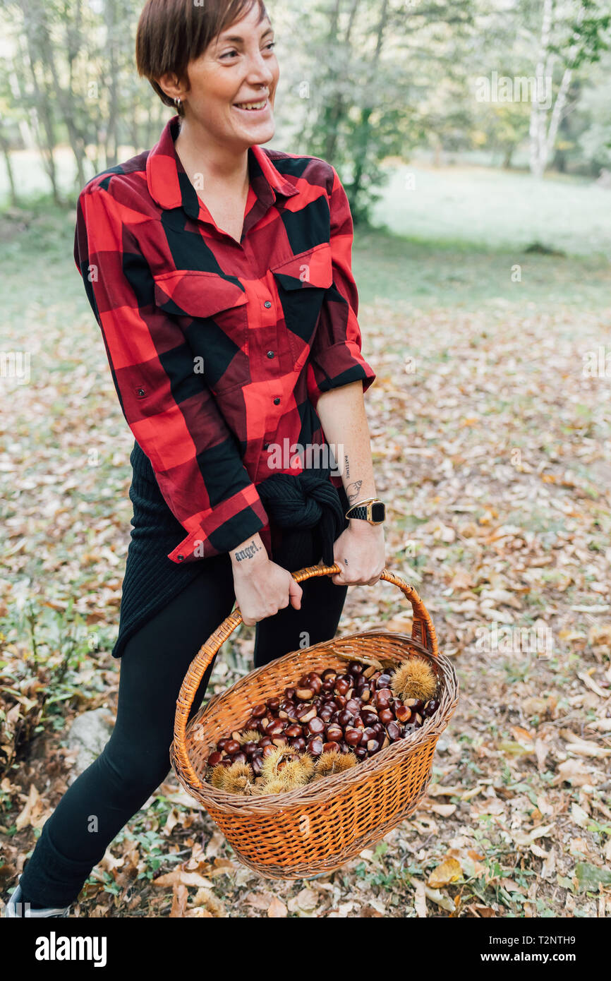 La donna la raccolta delle castagne, Rezzago, Lombardia, Italia Foto Stock