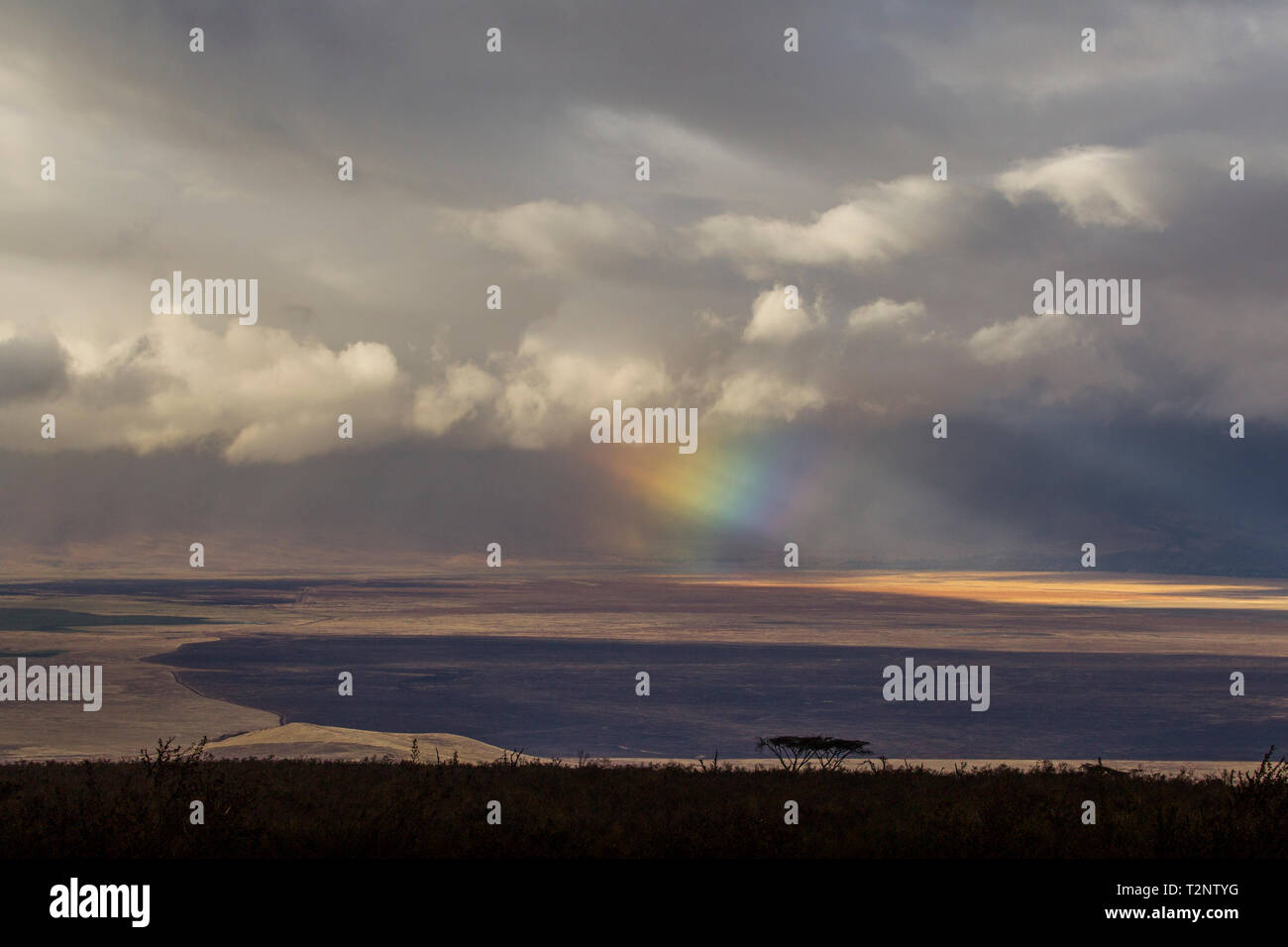 Paesaggio con nuvole temporalesche e rainbow fasci di luce, il cratere di Ngorongoro, Ngorongoro Conservation Area, Tanzania Foto Stock