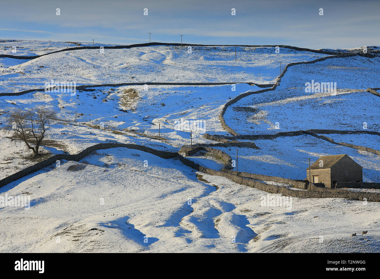 Un fienile e stalattite pareti spiccano contro i paesaggi innevati di Littondale, vicino al villaggio di Arncliffe nel Yorkshire Dales, REGNO UNITO Foto Stock