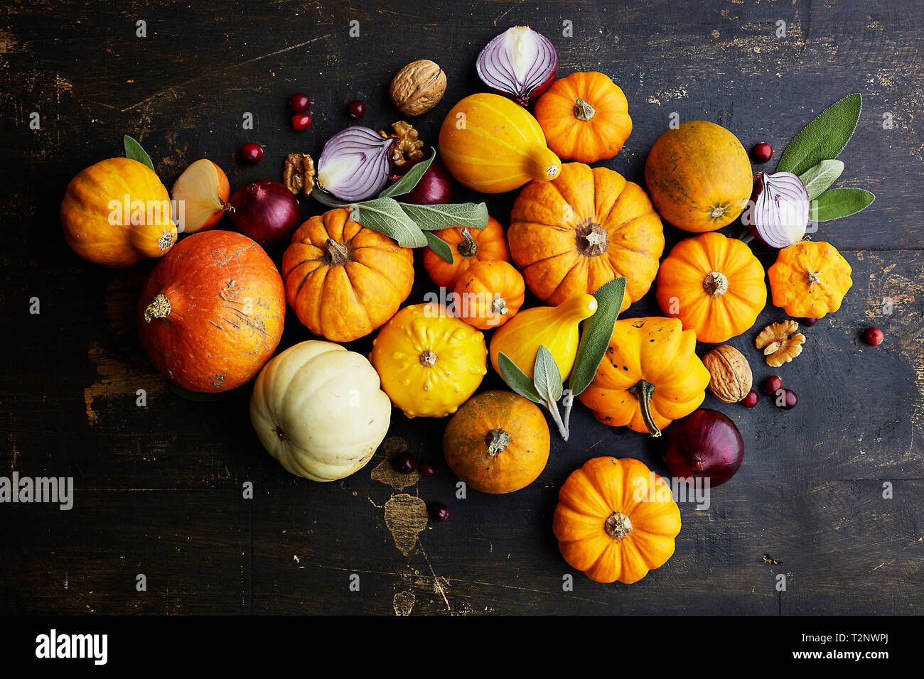 Varietà di squash, le cipolle e i dadi Foto Stock