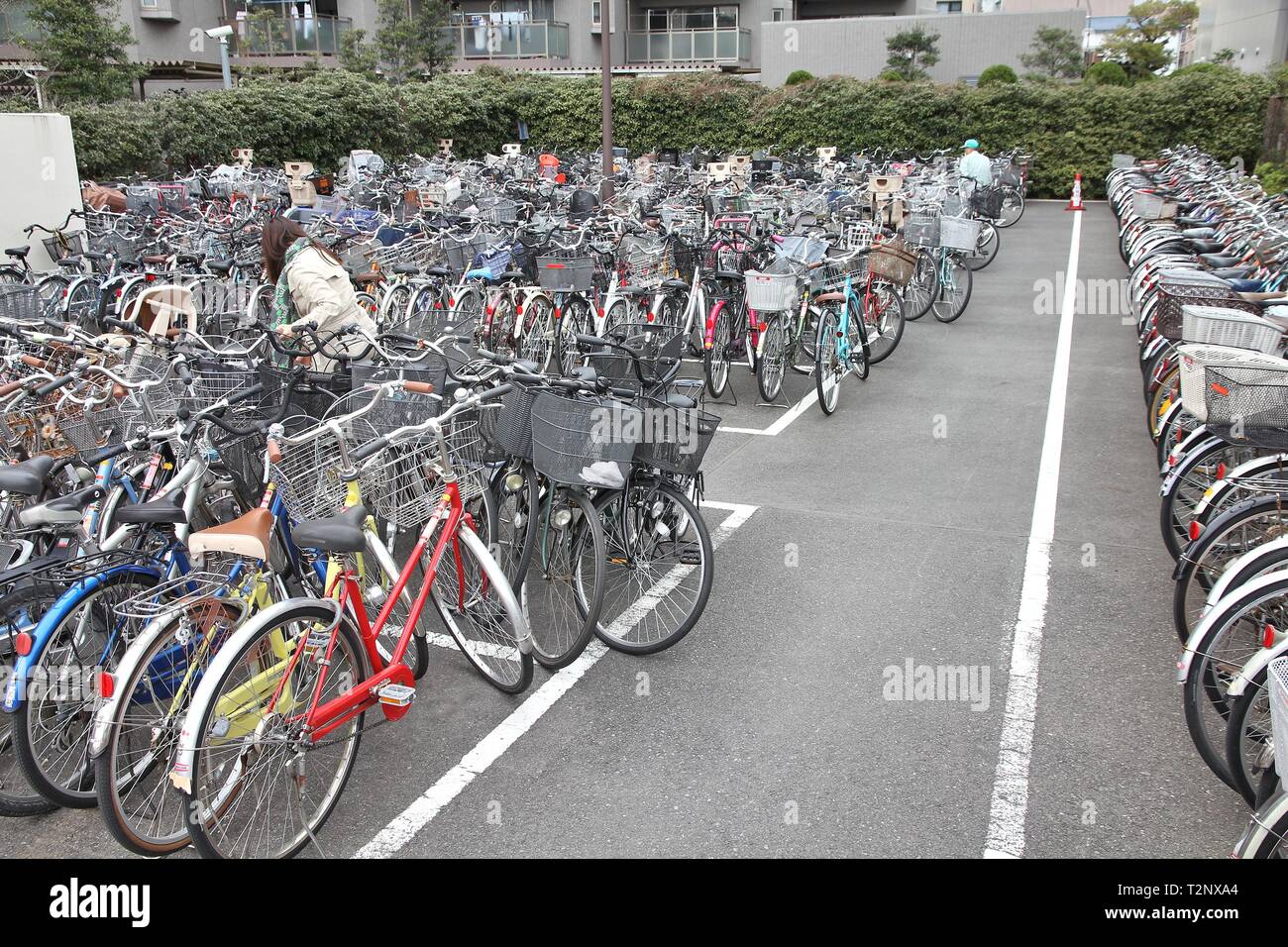 TOKYO, Giappone - 13 Aprile 2012: Persona ricerche per bicicletta ad un parcheggio bici a Tokyo. 127 milioni di persone in Giappone hanno 72 milioni di biciclette. Foto Stock