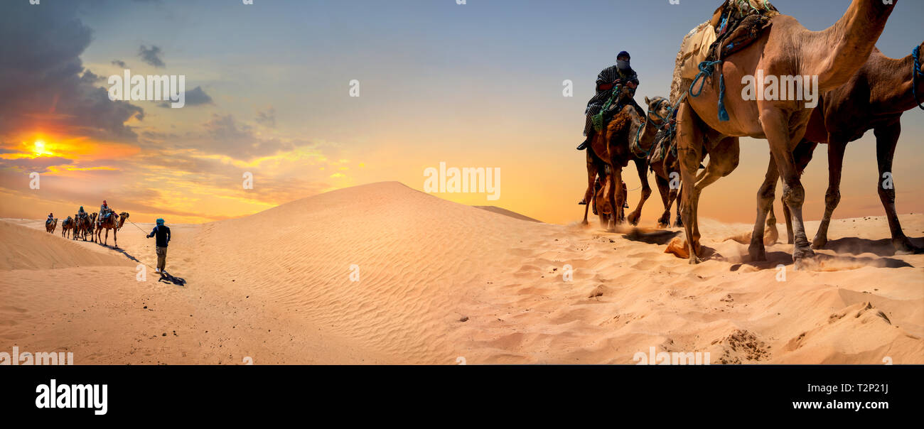 Paesaggio panoramico con i turisti a cavallo di cammelli. Safari Tourism. Deserto del Sahara, Nord Africa Foto Stock