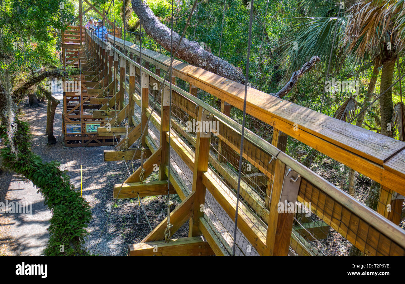 La tettoia a piedi ponte di sospensione di attrazione turistica in Myakka River State Park in Sarasota Florida, albero, alberi Foto Stock