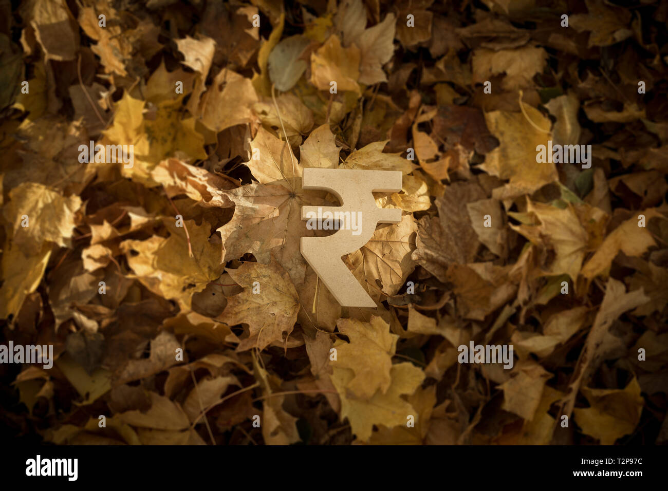 Rupia indiana il simbolo di valuta su foglie di autunno in tarda serata Sun Foto Stock