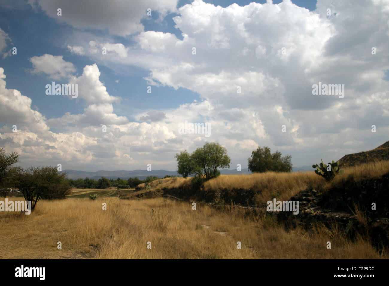 Paesaggio rurale con vegetazione desertico vicino la Piramide del Sole (San Juan de Teotihuacán de Arista, Stato del Messico, Messico) Foto Stock