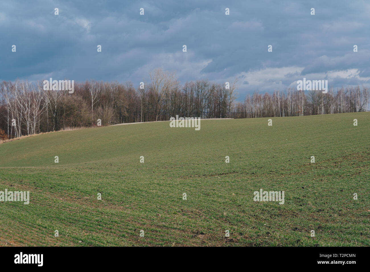 Paesaggio con campi in un terreno collinare con le nuvole scure del cielo Foto Stock
