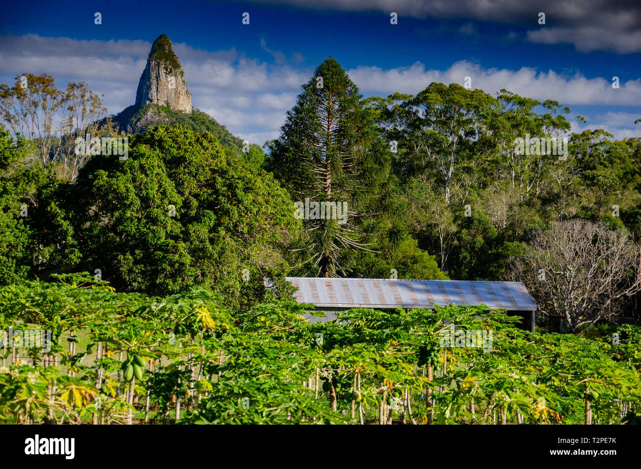 Una vista da una fattoria del monte Coonowrin, uno dei Monti Glasshouse nel Queensland, Australia Foto Stock