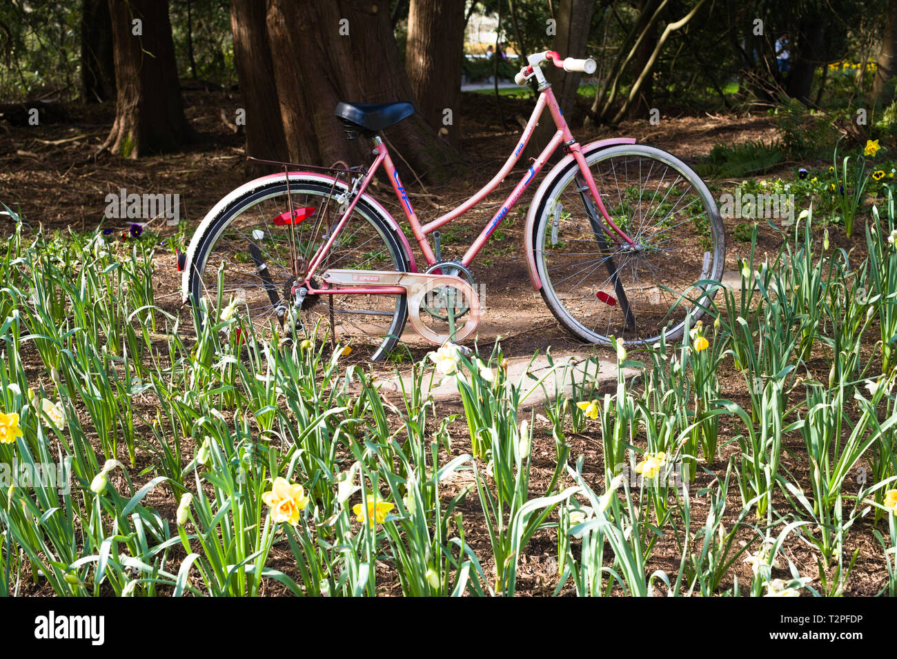 Un'antica bicicletta è un ornamento da giardino nel Bear Creek Park, Surrey, British Columbia, Canada Foto Stock