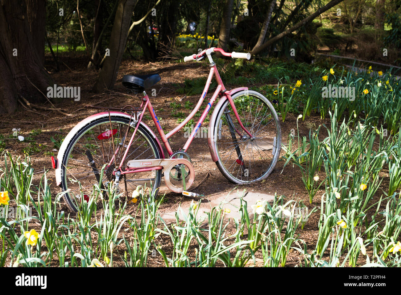 Una vecchia bicicletta è un ornamento da giardino nel Bear Creek Park, Surrey, British Columbia, Canada Foto Stock