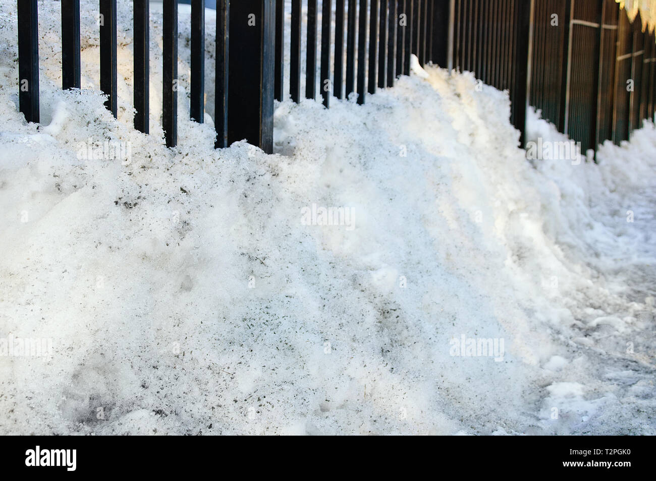 Molla. La fusione della neve. Un cumulo di neve di neve sporca in prossimità di una recinzione metallica. Close-up. Foto Stock