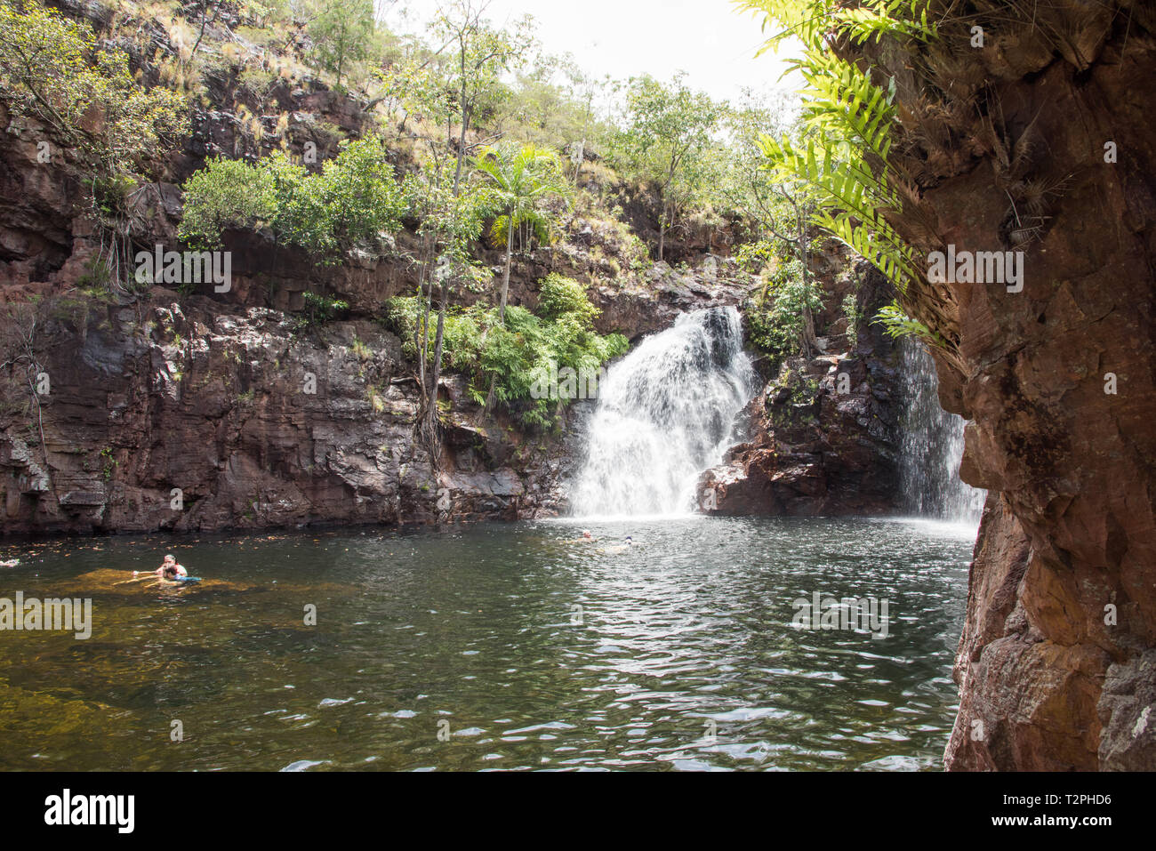 Litchfield, Northern Territory, Australia-December 24,2017: turisti godersi Firenze cade piscine nel Parco Nazionale di Litchfield in remoto di NT, Australia Foto Stock