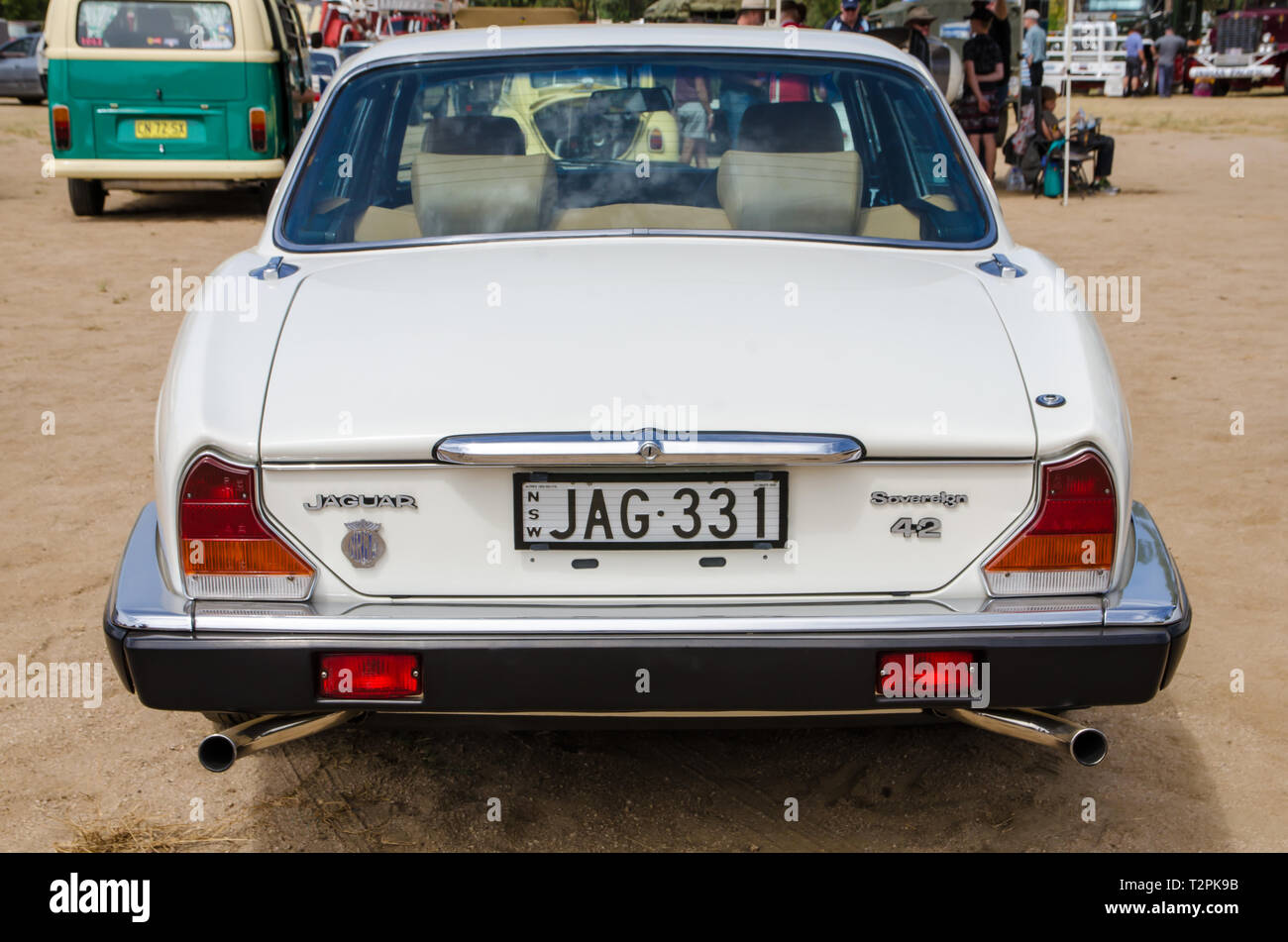 1985 Jaguar XJ6 Serie 3, 4.2 litro sovrano. Sul display a Moonbi vicino a Tamworth in Australia. Foto Stock