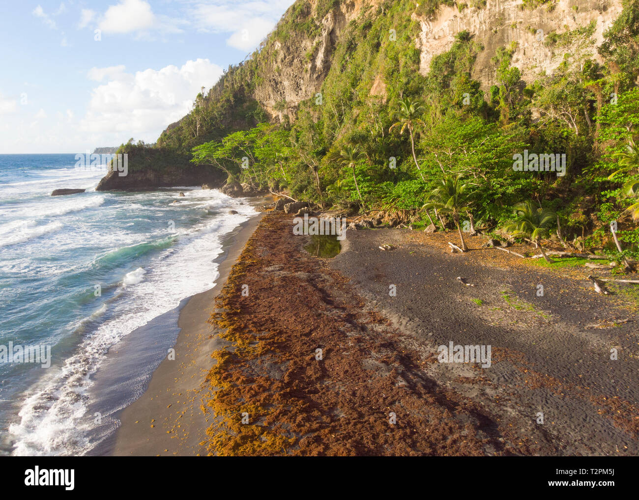 Costa est del mare Dominica, dei Caraibi Foto Stock