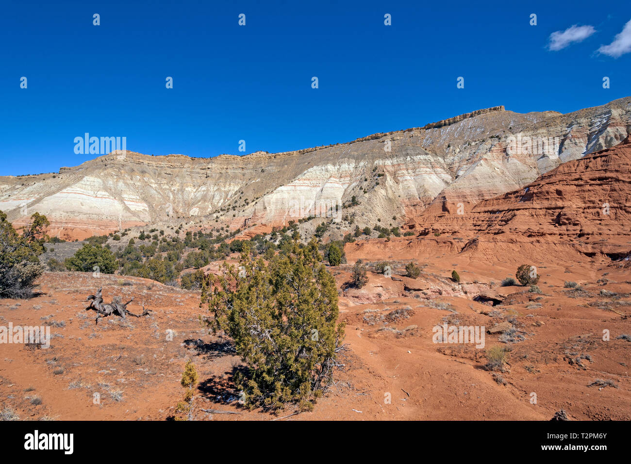 Cresta colorata in alto deserto in Kodachrome Basin Parco dello stato dello Utah Foto Stock