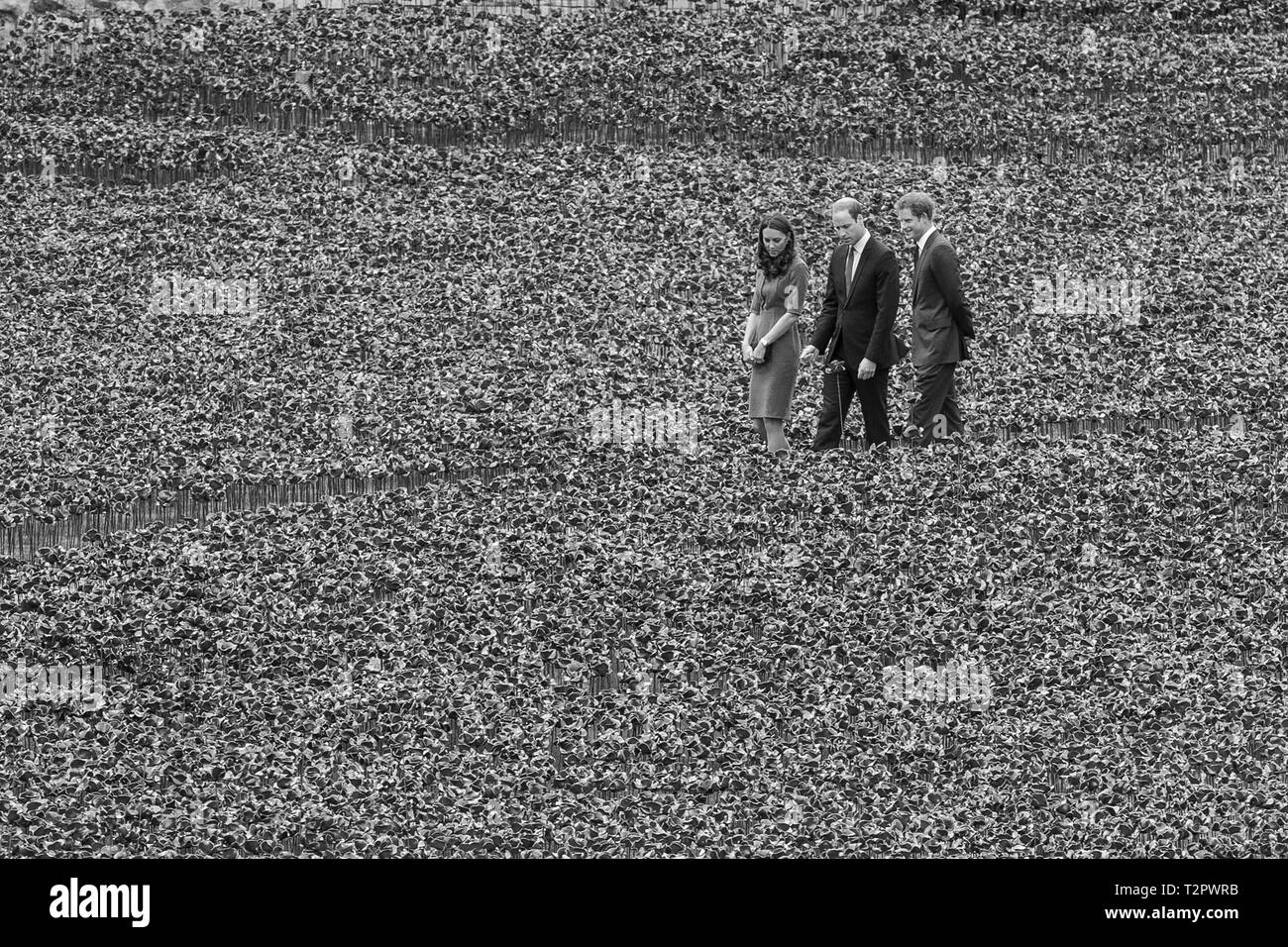 Katherine, duchessa di Cambridge, il principe William & Principe Harry visita il campo delle ceramiche papaveri Guerra Mondiale 1 omaggio, a Londra il 5 Agosto 14. Foto Stock