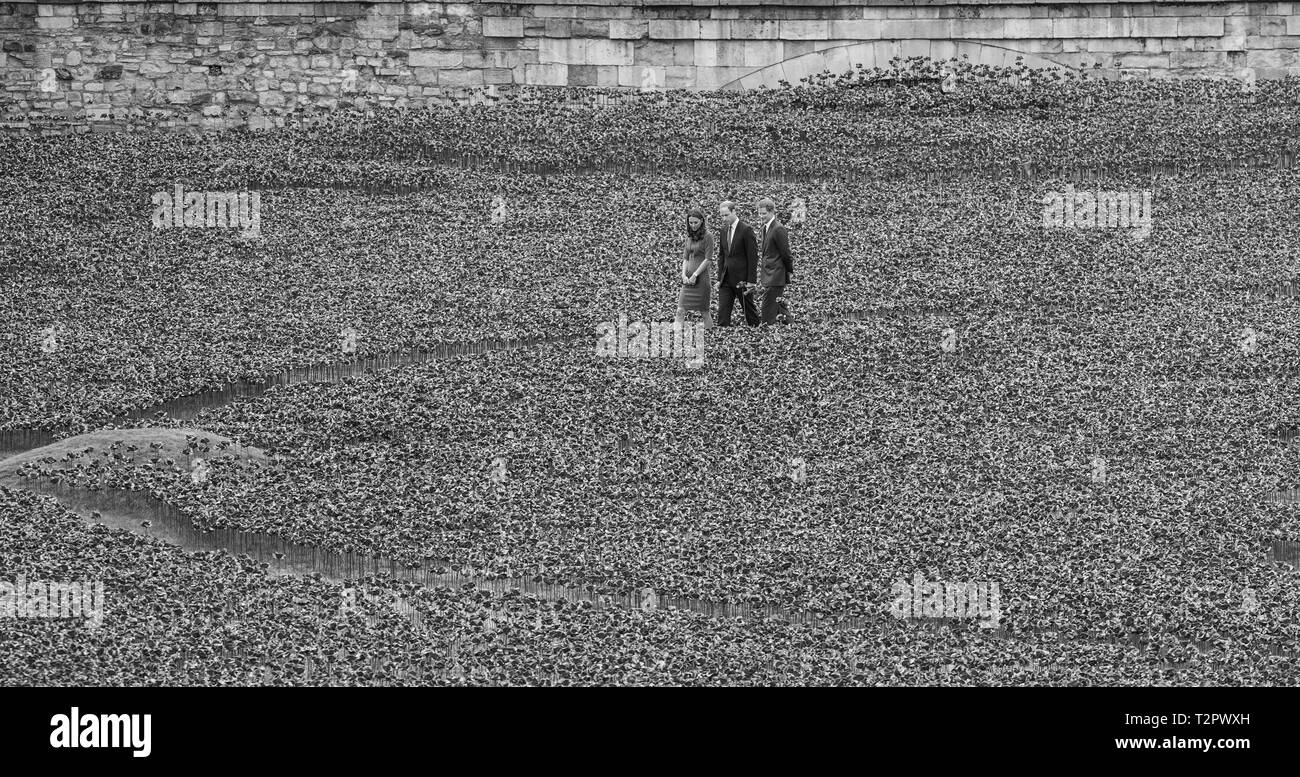 Katherine, duchessa di Cambridge, il principe William & Principe Harry visita il campo delle ceramiche papaveri Guerra Mondiale 1 omaggio, a Londra il 5 Agosto 14. Foto Stock