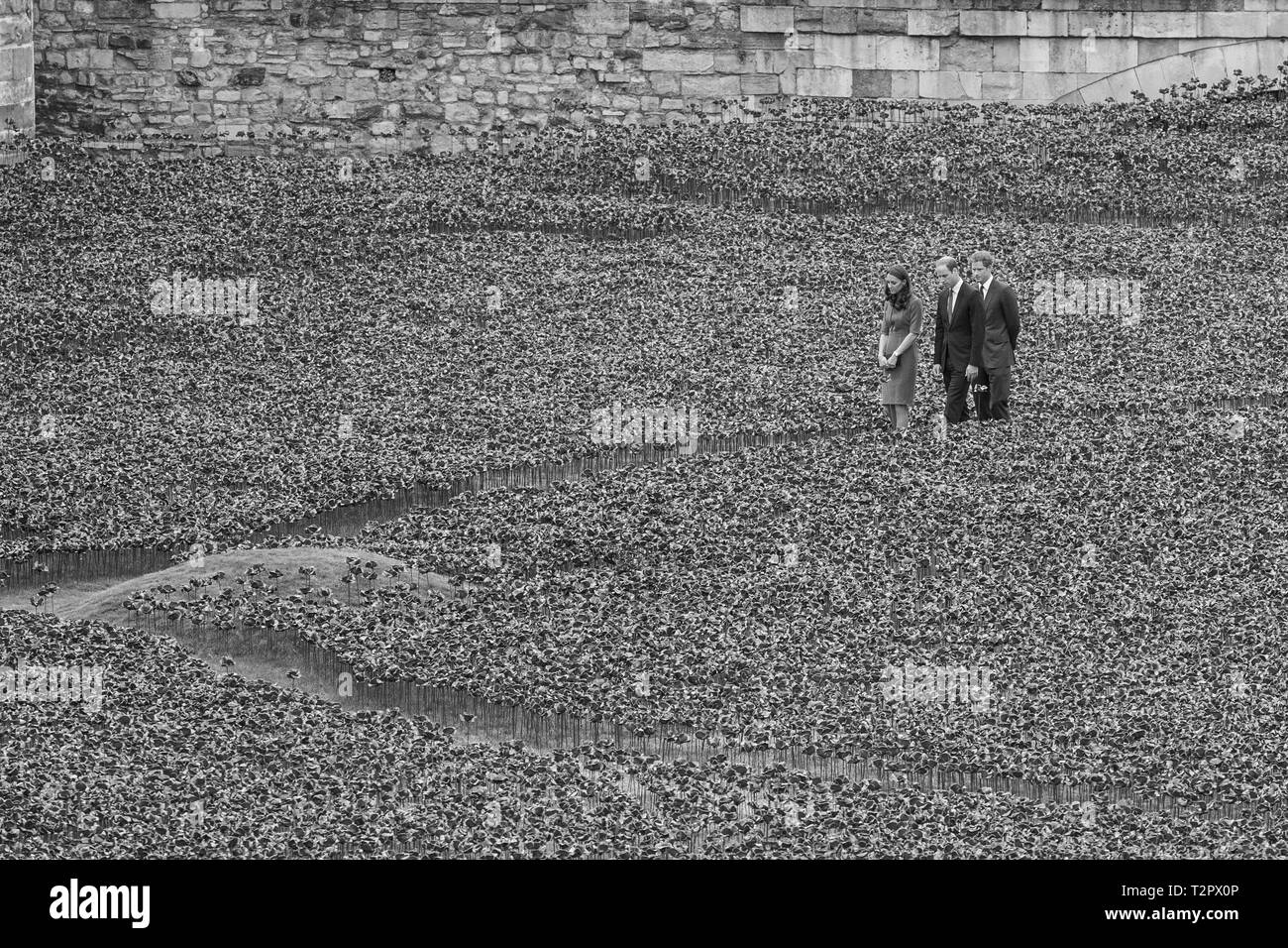 Katherine, duchessa di Cambridge, il principe William & Principe Harry visita il campo delle ceramiche papaveri Guerra Mondiale 1 omaggio, a Londra il 5 Agosto 14. Foto Stock