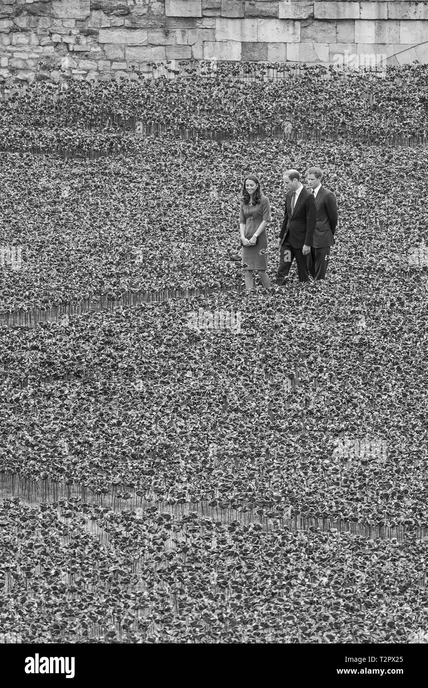 Katherine, duchessa di Cambridge, il principe William & Principe Harry visita il campo delle ceramiche papaveri Guerra Mondiale 1 omaggio, a Londra il 5 Agosto 14. Foto Stock