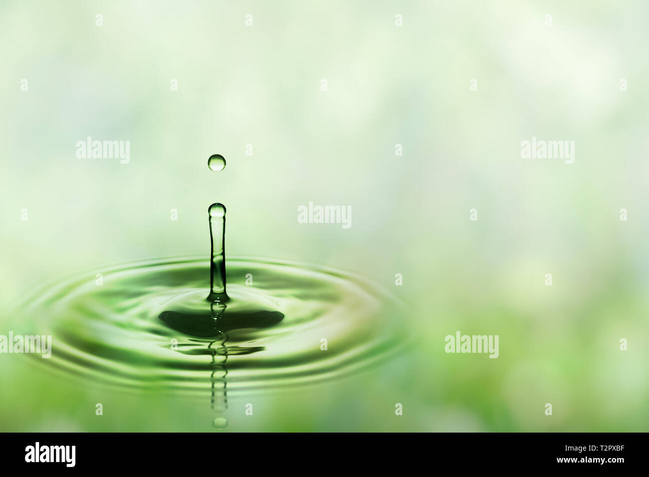 Gocce di pioggia che cade su una superficie liscia della superficie dell'acqua. Verde modello sfocata in background. Foto Stock