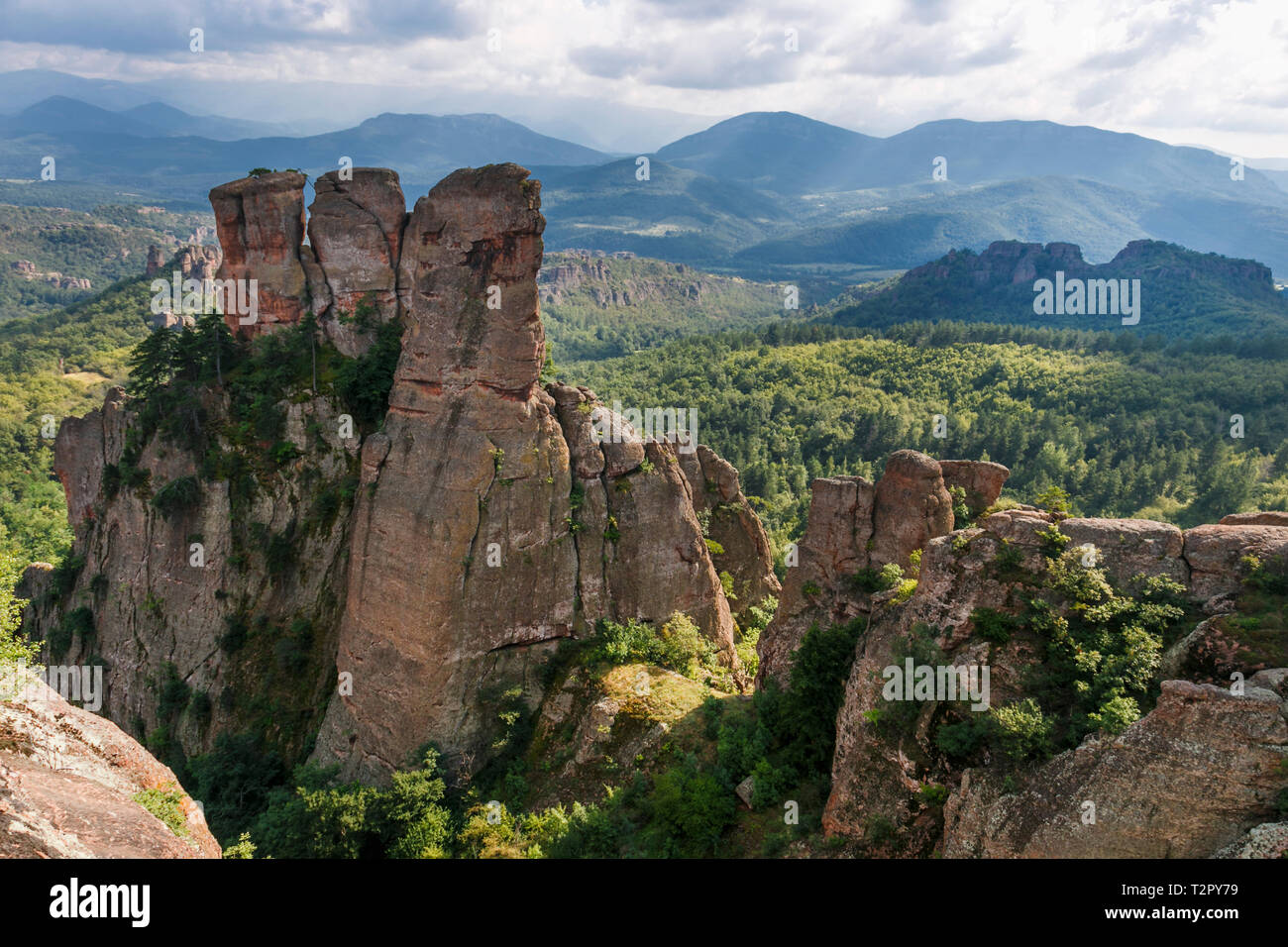 Vista sulle rocce di Belogradchik durante l'estate, con alberi che circondano le splendide formazioni rocciose, Bulgaria Foto Stock