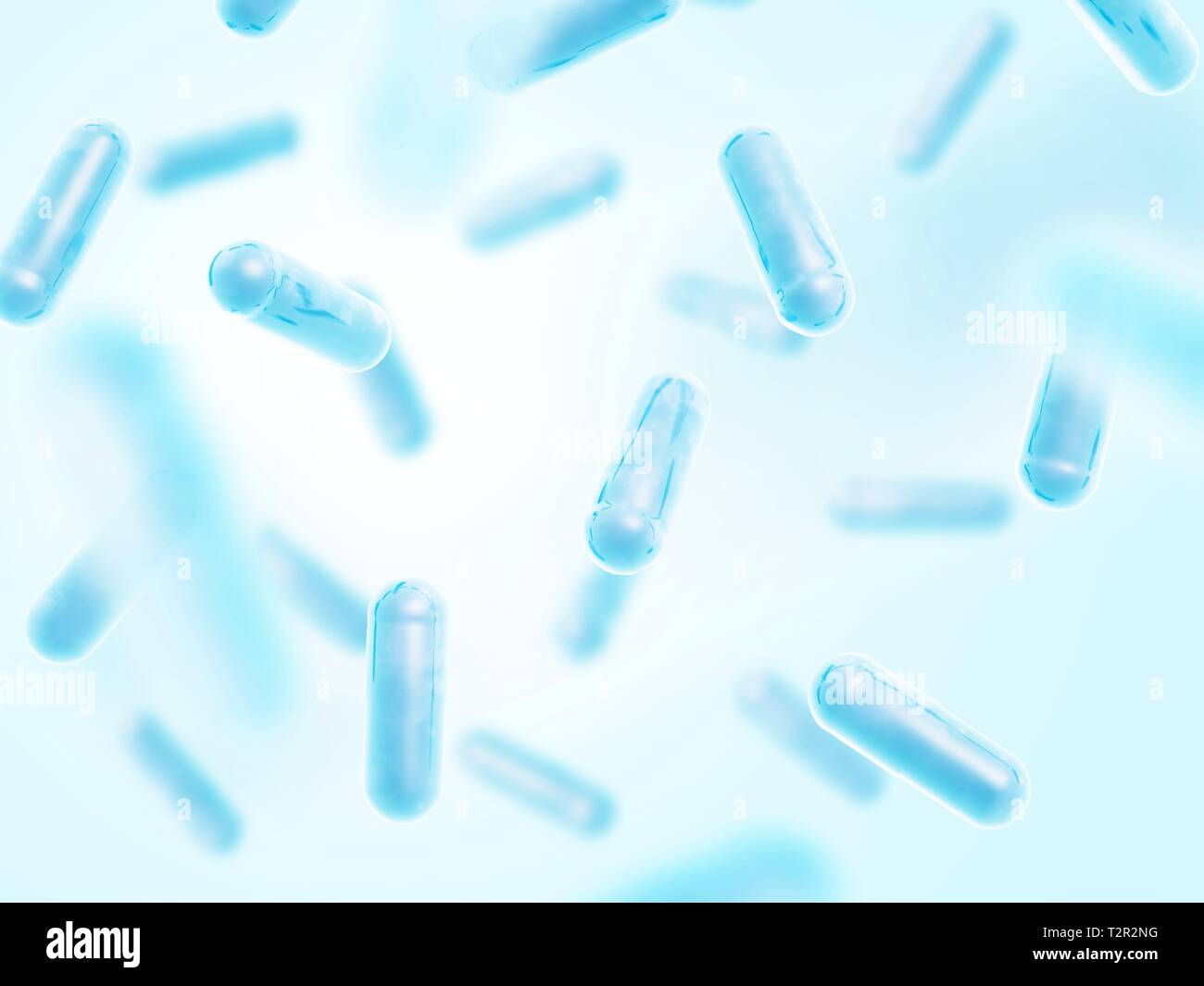 Probiotici Lactobacillus acidophilus. Il colore blu. Foto Stock