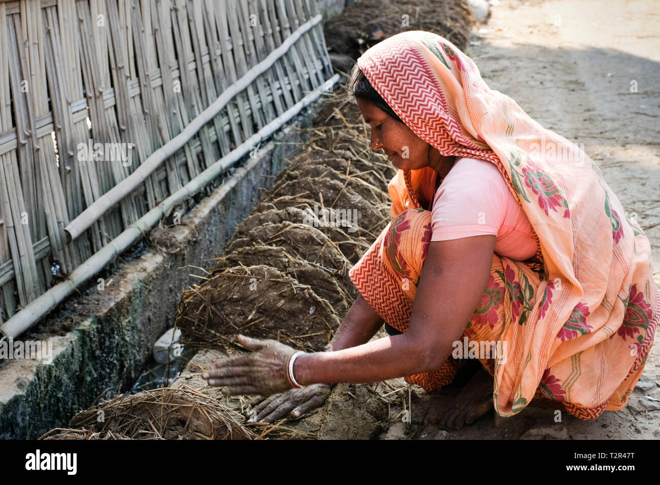 Donna raccogliere e forma sterco di vacca. Essiccato è utilizzato come combustibile. Strada laterale in Argatala, Stato di Tripura, Nordest dell India Foto Stock