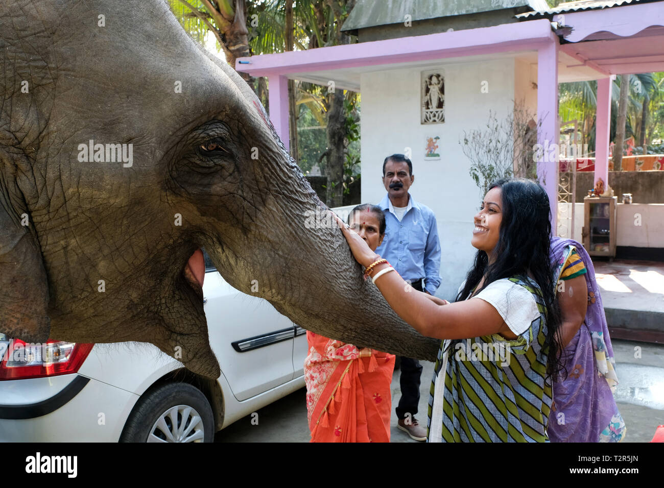 Elephant è adorato da una famiglia indù della Cattedrale di Tezpur, stato di Assam, in India --- Elefant wird verehrt, Hindu-Familie bei Tezpur, Bundesstaat Assam, Indien Foto Stock