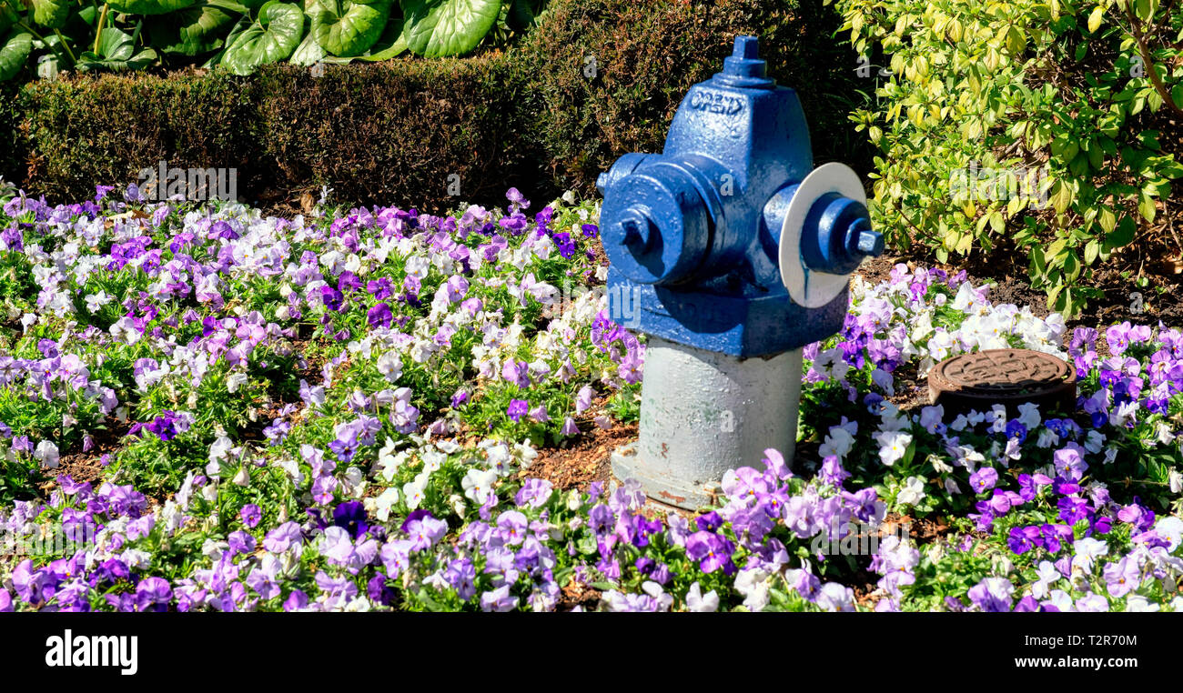 Dipinto di blu idrante di fuoco in un campo di vividi fiori. Foto Stock