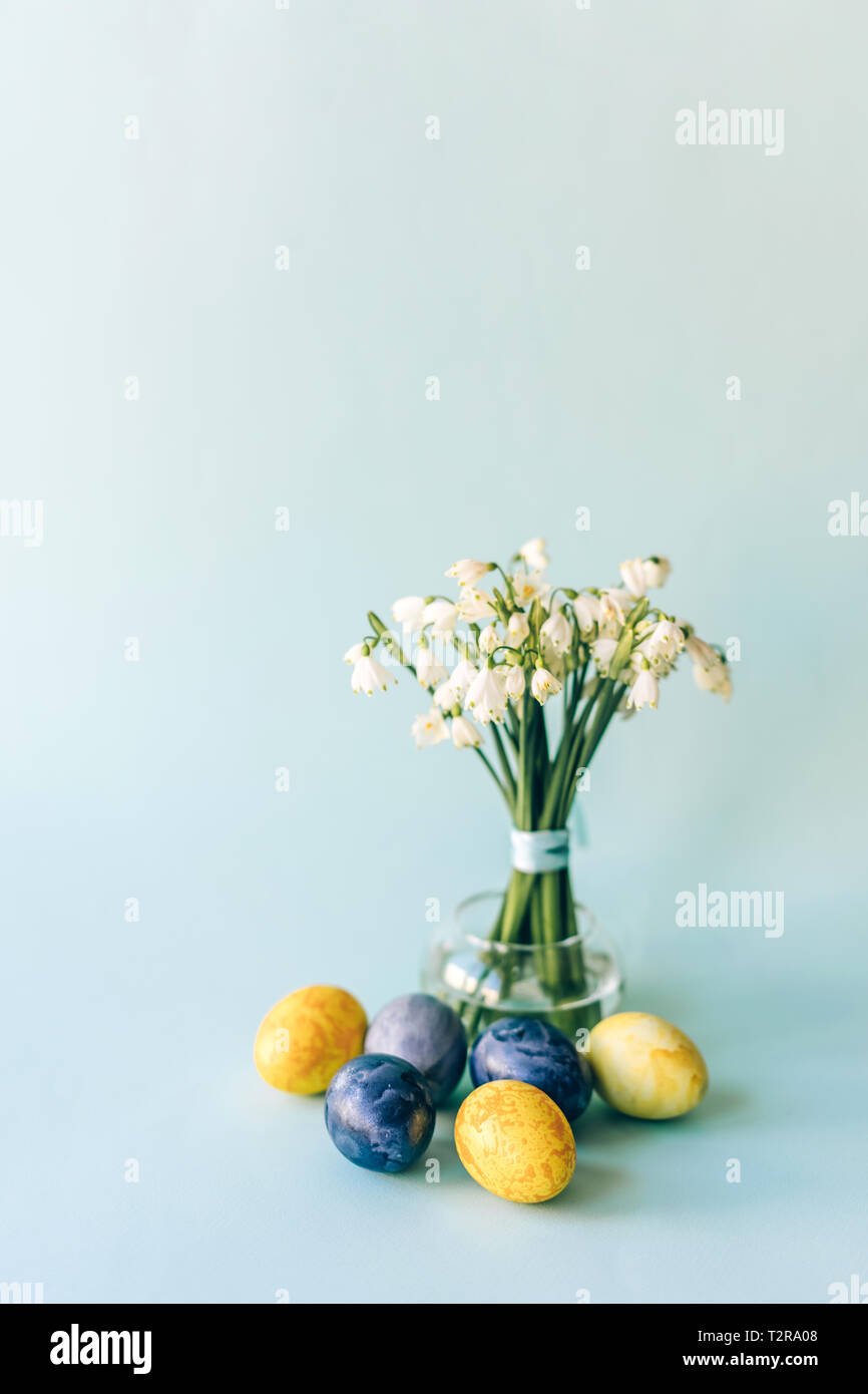 Snowdrops in un vaso e decorate multi-colore di uova di Pasqua su uno sfondo blu. Foto Stock