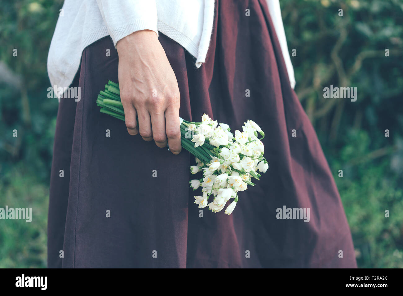 Primo piano della mano femminile tenendo un mazzo di bucaneve nella natura Foto Stock