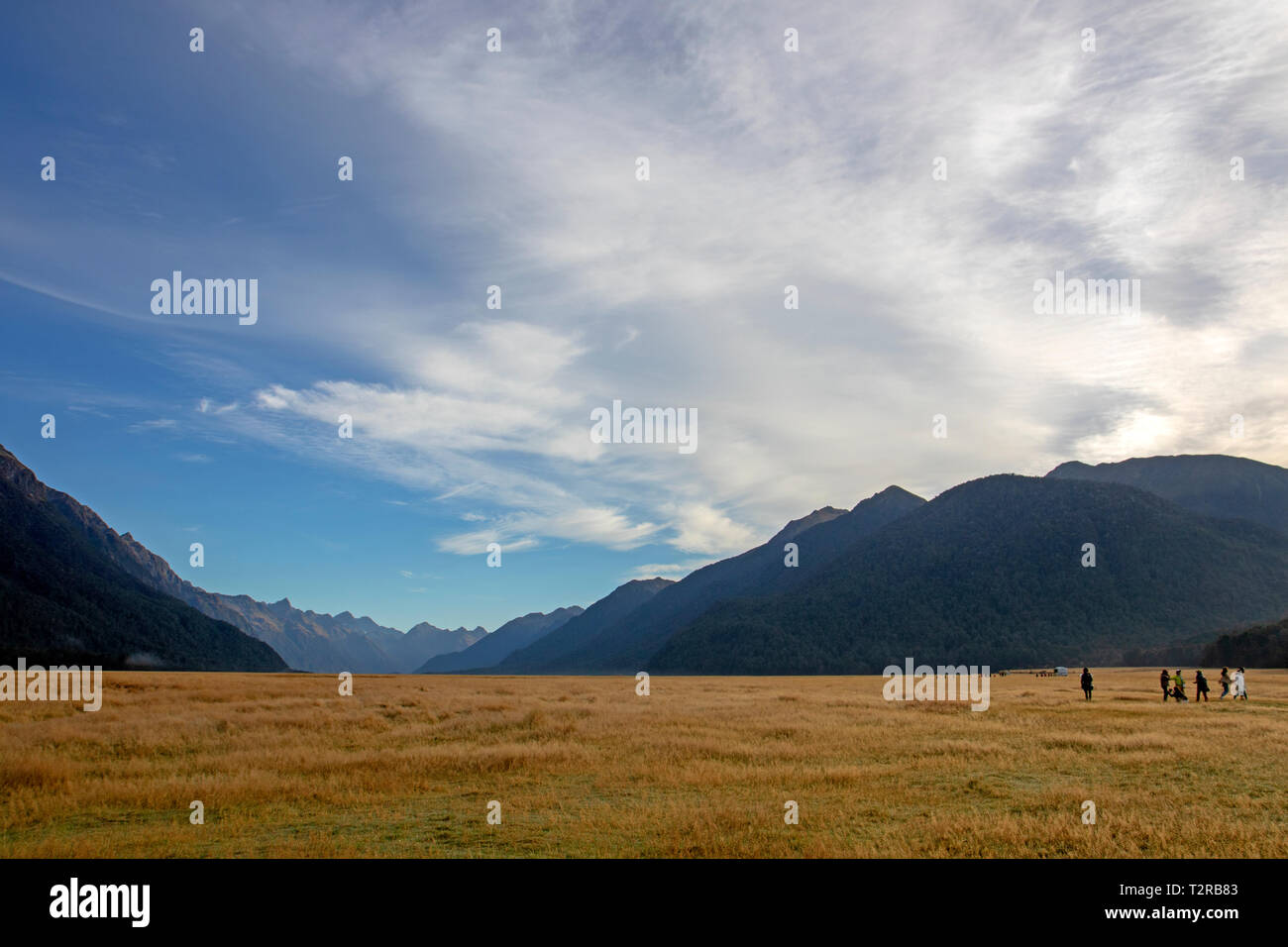 Visitatori in Eglinton Valle sulla strada di Milford Sound Foto Stock