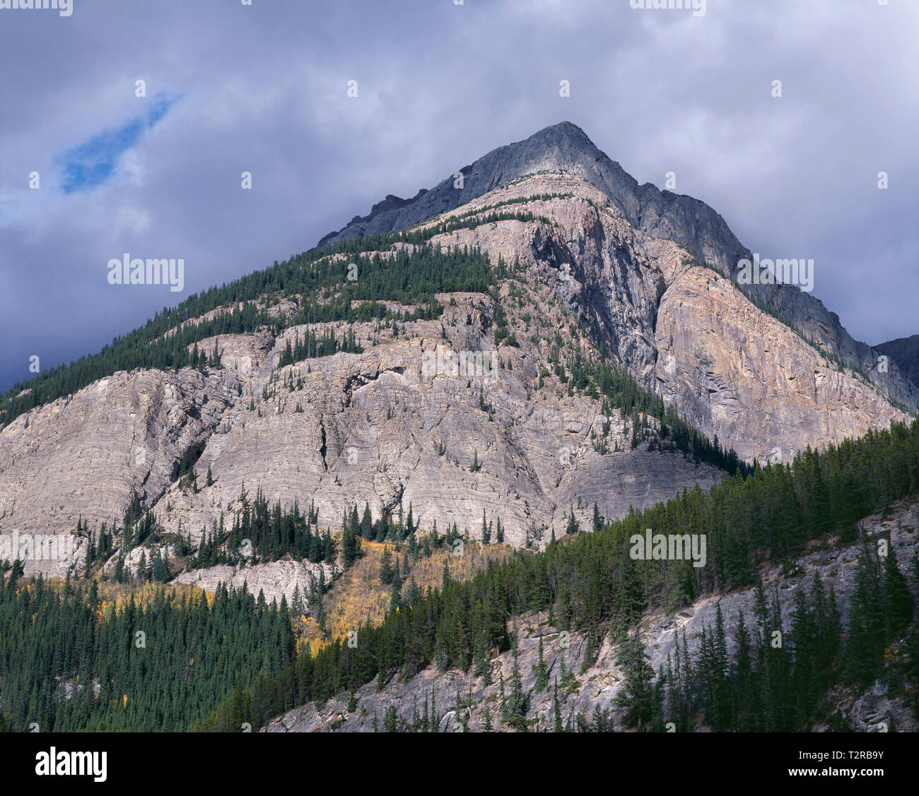 Canada, Alberta, il Parco Nazionale di Banff, nuvole temporalesche su northern sperone di Mt. Wilson. Foto Stock
