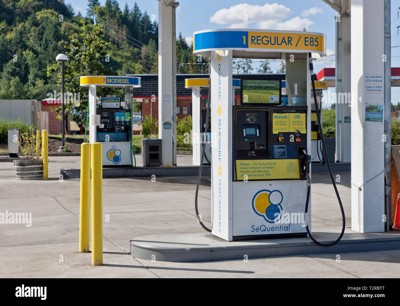 Biocarburanti alla stazione di servizio E85 miscela di 85% di bioetanolo. Foto Stock