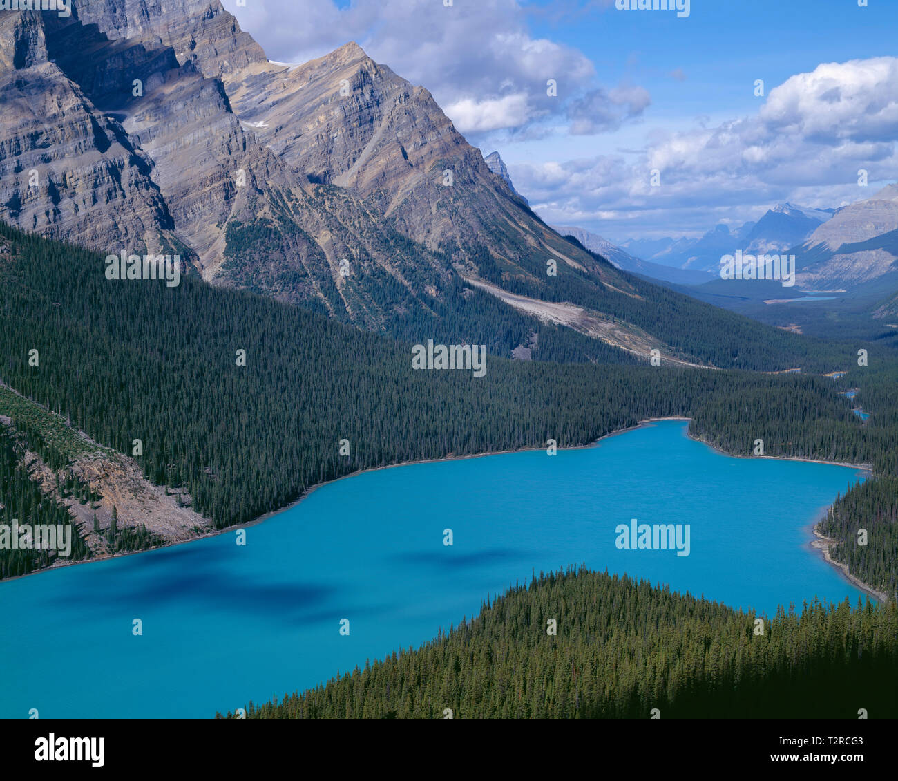 Canada, Alberta, il Parco Nazionale di Banff, colore turchese del Lago Peyto è prodotta dal limo glaciale sospeso in acqua. Foto Stock