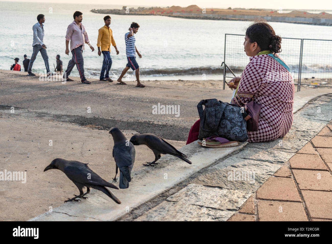 COLOMBO, SRI LANKA - 19 Febbraio 2019: un locale dello Sri Lanka donna seduta a Galle Face spiaggia accanto al nero raven uccelli, Colombo. Foto Stock